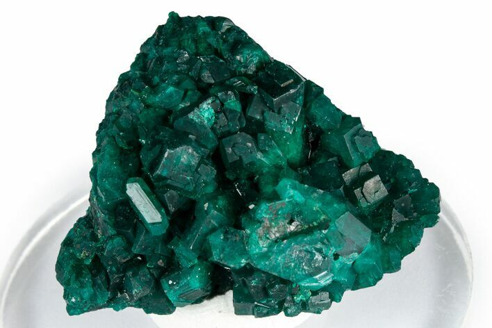 Lustrous Emerald-Green Dioptase Crystal Cluster - Congo #348538